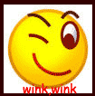 wink.gif (3701 bytes)